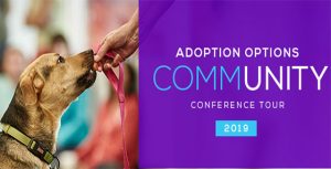 Adoption Options 2019