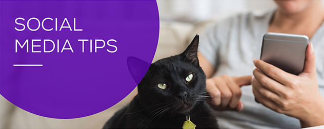 Social media tips